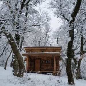 Cabane en bois au milieu des arbres enneigés en Auvergne-Rhône-Alpes.