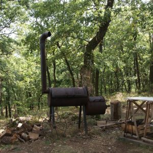 Hébergement insolite en Auvergne-Rhône-Alpes, avec un four à bois dans la forêt.