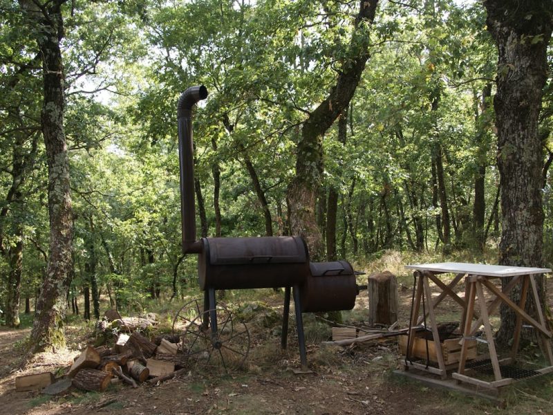 Hébergement en pleine nature avec un barbecue rustique entouré darbres.