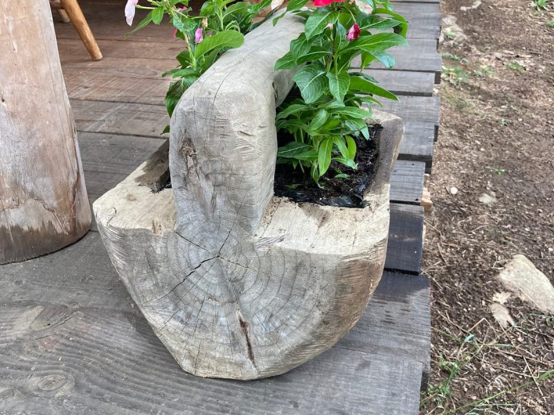 Hébergement en bois avec un pot de fleurs en bois décoratif à lentrée.