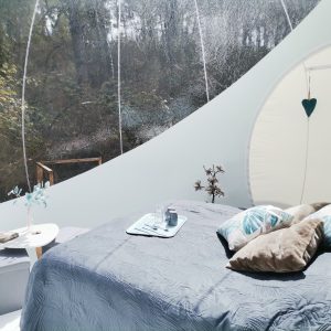 Dôme transparent en Provence-Alpes-Côte dAzur, avec vue sur la nature verdoyante.