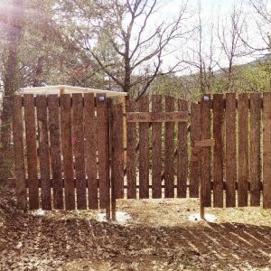 Cabane en bois dans la nature, entourée darbres et dun portail en bois rustique.