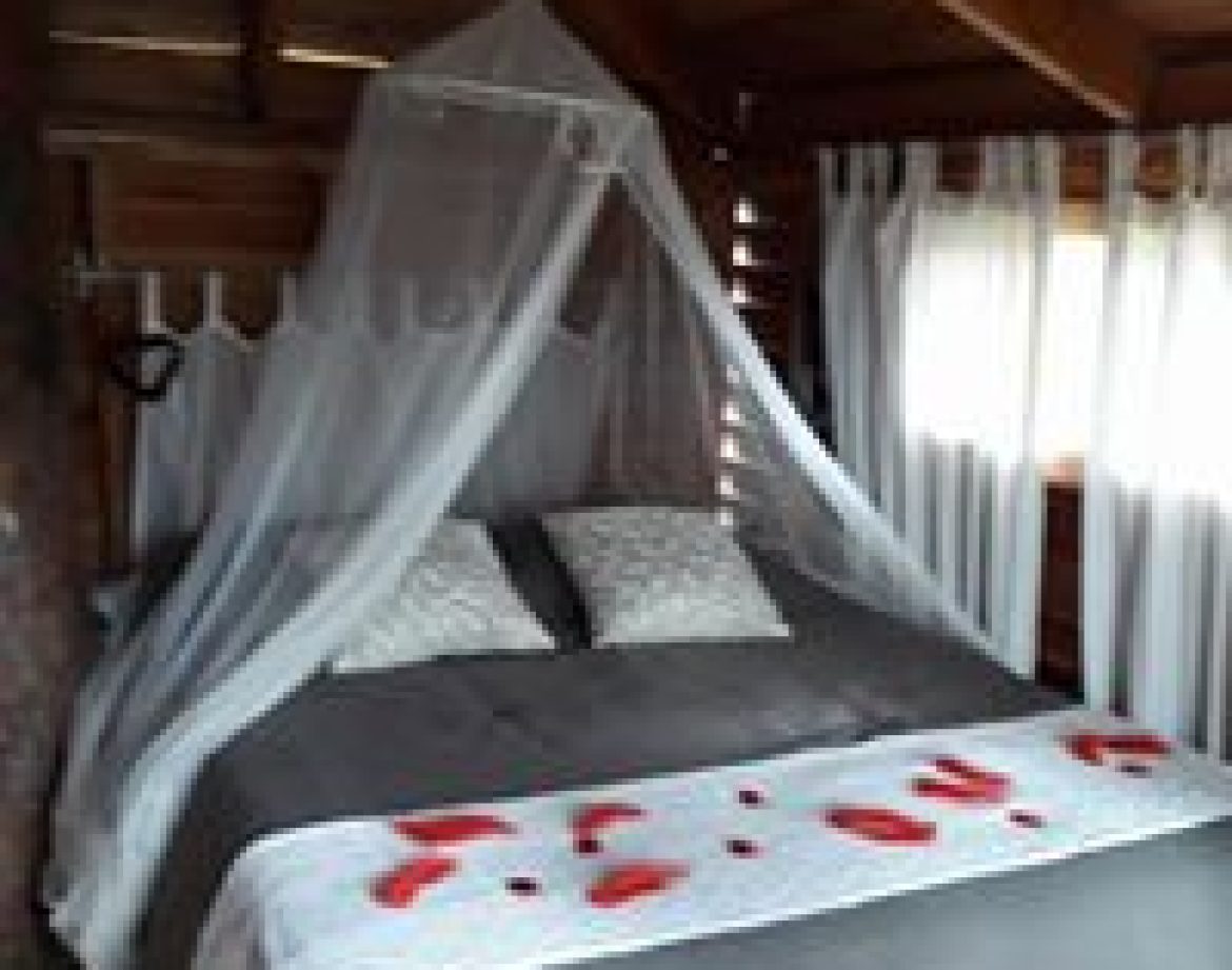 Cabane en bois avec lit à baldaquin, décorée de pétales de rose.