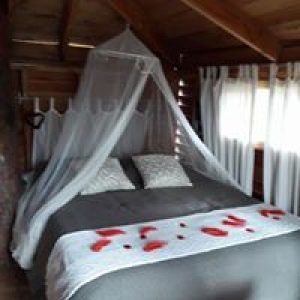 Cabane en bois avec lit à baldaquin, décorée de pétales de rose.