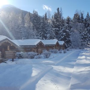 Chalets en bois dans un paysage enneigé, entourés de sapins majestueux.
