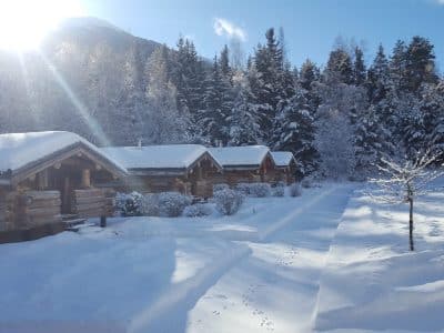 Chalets en bois dans un paysage enneigé, entourés de sapins majestueux.