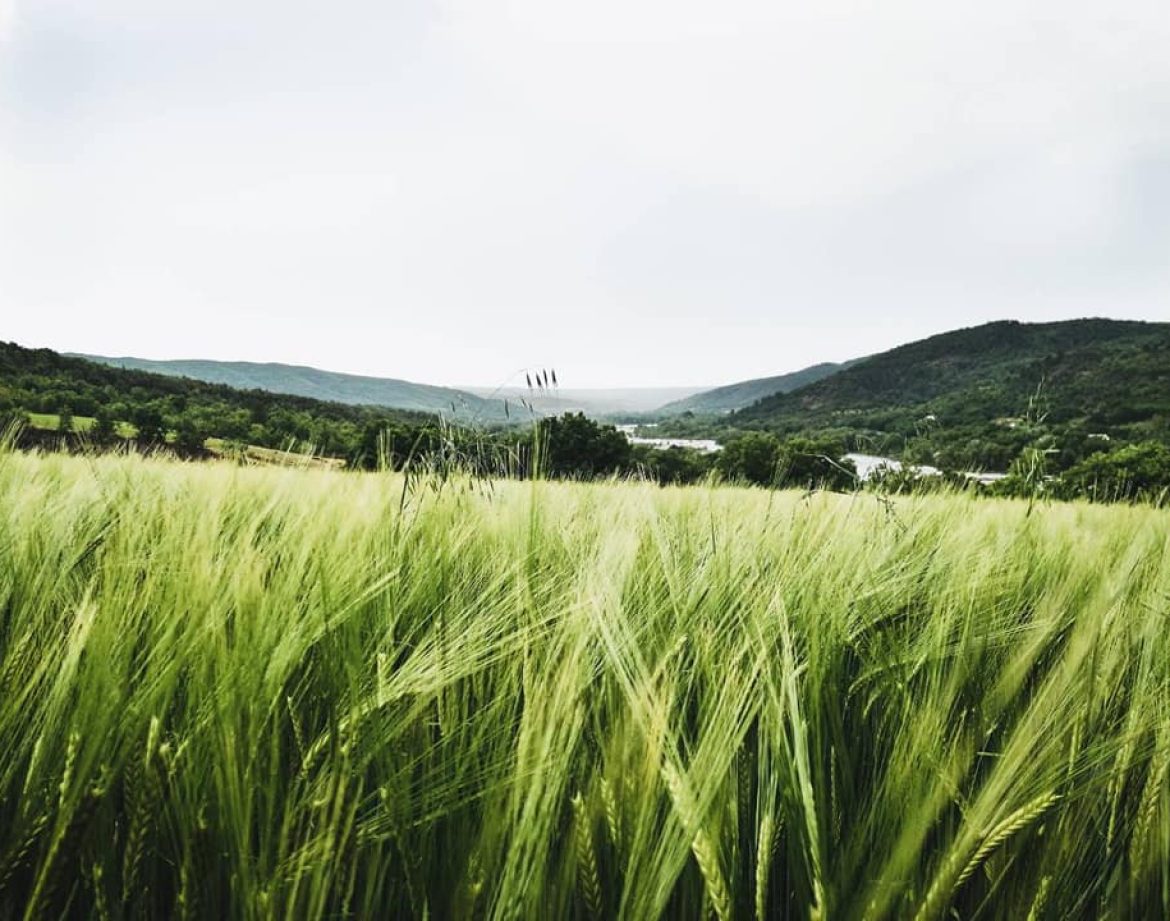 Hébergement insolite en pleine nature, avec des champs verdoyants et des collines en arrière-plan.