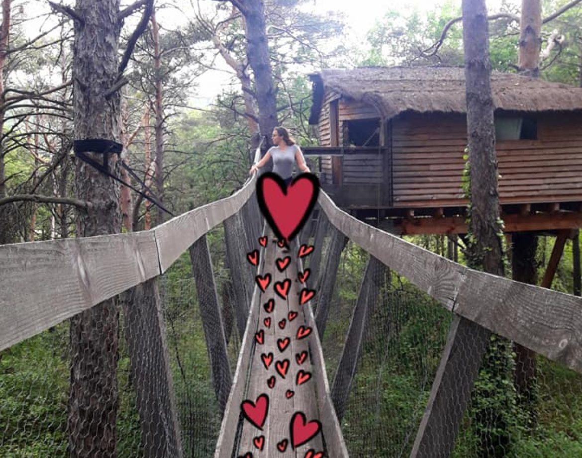 Cabane dans les arbres en Provence-Alpes-Côte dAzur, accessible par un pont suspendu.