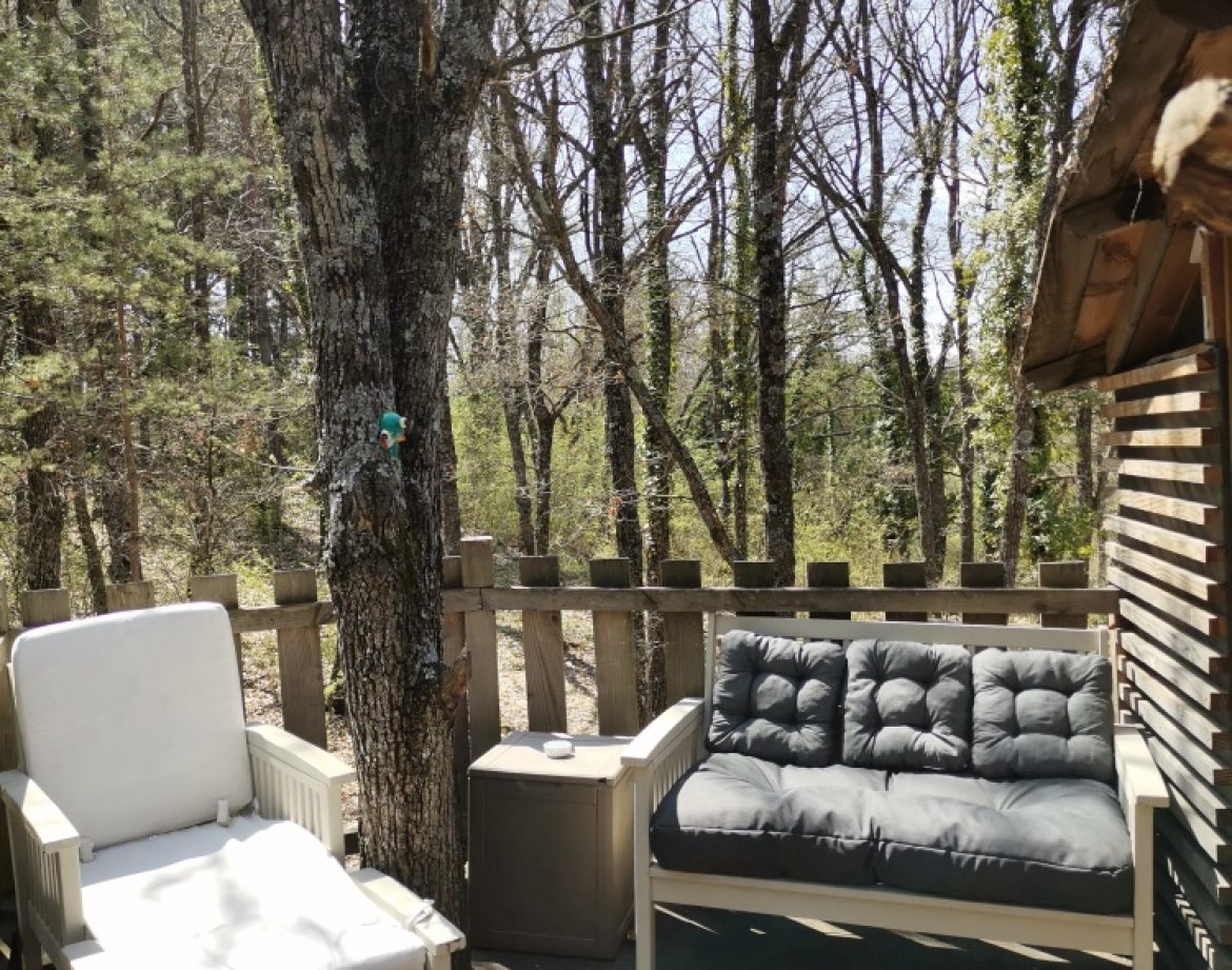 Cabane en bois avec salon extérieur, entourée darbres verdoyants en Provence.