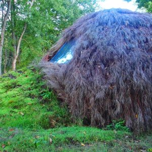 Hébergement insolite en forme de bulle, recouvert de végétation luxuriante.