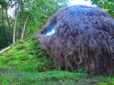 Hébergement insolite en forme de bulle, recouvert de végétation luxuriante.