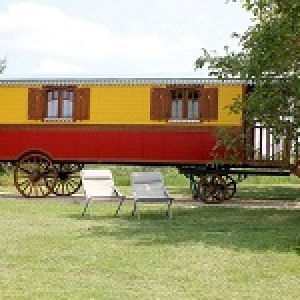 Charmante roulotte colorée, surélevée, entourée de verdure et de chaises confortables.