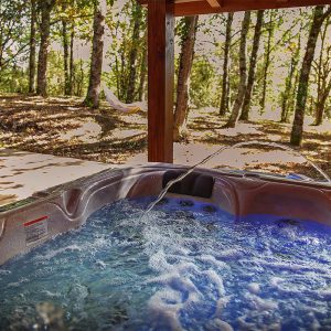 Hébergement insolite en Midi-Pyrénées avec jacuzzi entouré de nature verdoyante.