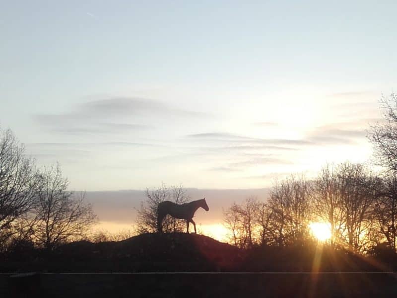 Hébergement rural avec vue sur un cheval silhouetté au coucher de soleil.