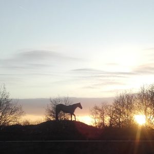 Hébergement insolite en Bourgogne : un cheval en silhouette au coucher du soleil.
