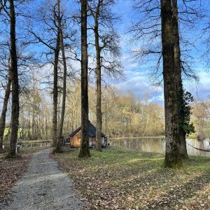 Cabane en bois au bord dun étang, entourée darbres majestueux.