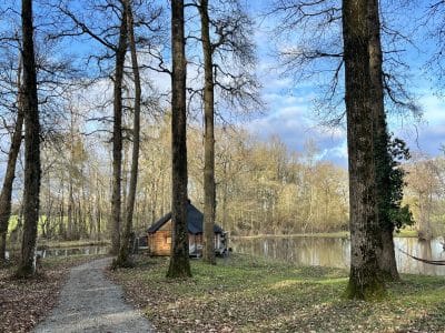 Cabane en bois au bord dun étang, entourée darbres majestueux.
