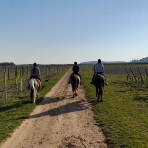 276321380_2432744670190442_1799747570938086803_n