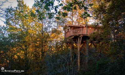 Cabane perchée avec spa