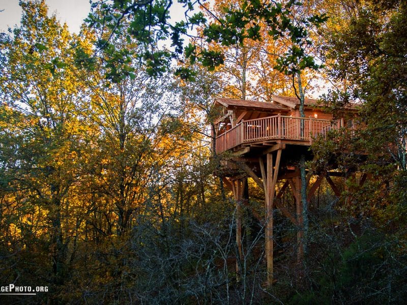 Cabane perchée dans les arbres, entourée de feuillage automnal doré.
