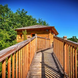 Cabane perchée en bois avec une passerelle, entourée de verdure à Midi-Pyrénées.