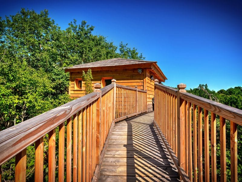 Cabane en bois perchée, accessible par un chemin en bois entouré de verdure.