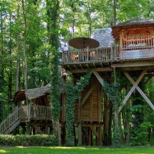 Cabane perchée en bois, entourée darbres, avec une terrasse ensoleillée.