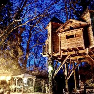 Cabane perchée en bois à la lueur des lanternes, entourée darbres.