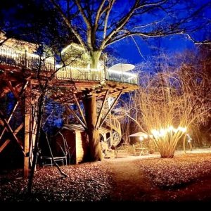 Cabane dans les arbres illuminée, nichée au cœur de la nature en Île-de-France.