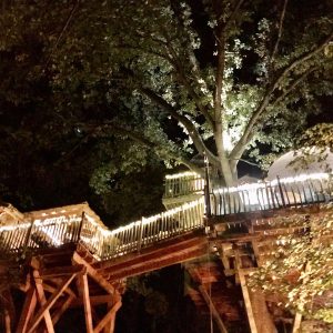 Cabane dans les arbres illuminée, perchée au cœur dune forêt en Île-de-France.