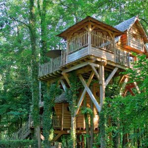 Cabane perchée en bois dans les arbres, entourée dune verdure luxuriante.