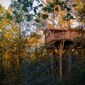 Cabane perchée en bois, entourée darbres aux couleurs automnales à Midi-Pyrénées.