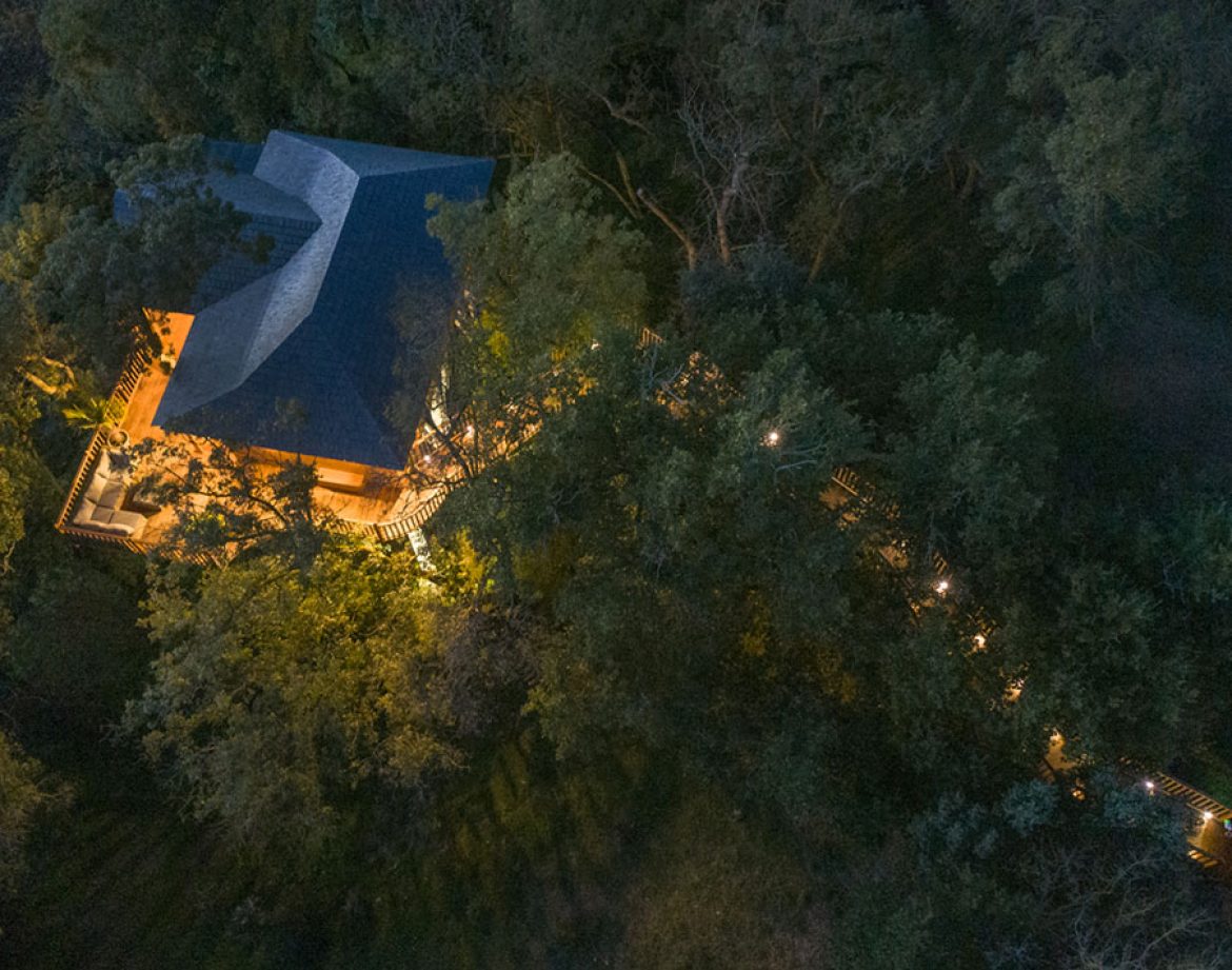 Cabane perchée dans les arbres, illuminée, entourée de verdure au Languedoc-Roussillon.