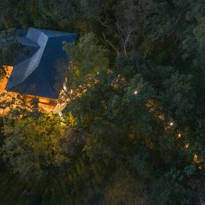 Cabane perchée dans les arbres, illuminée, entourée de verdure au Languedoc-Roussillon.