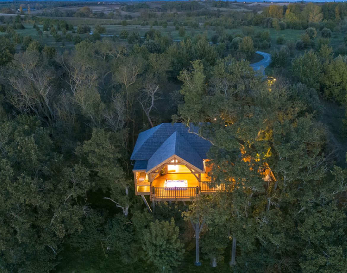 Cabane perchée dans les arbres, illuminée, entourée de verdure à Languedoc-Roussillon.