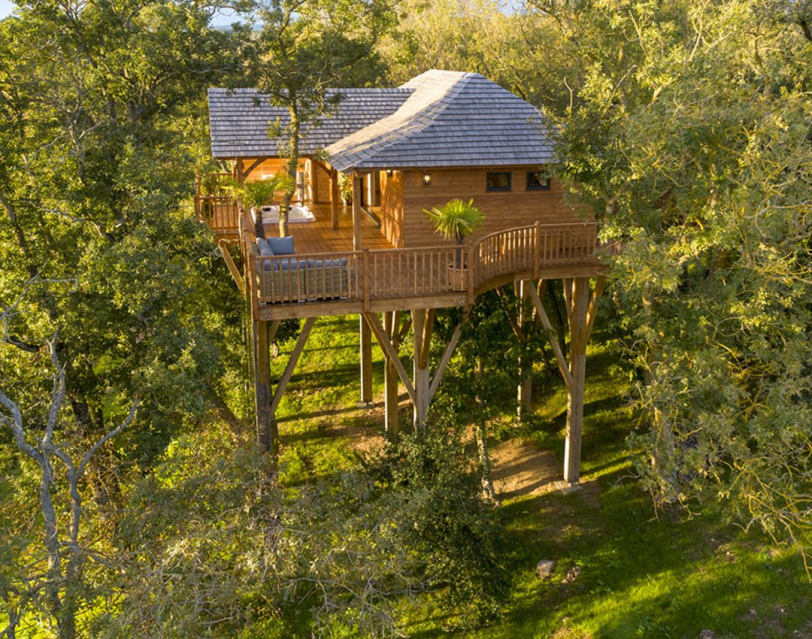 Cabane perchée en bois, entourée darbres, offrant une vue imprenable sur la nature.