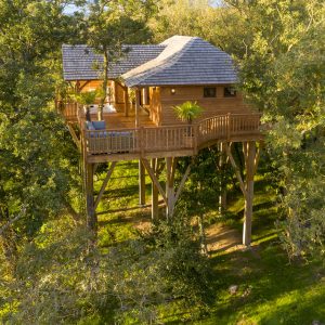 Cabane perchée en bois, entourée darbres, offrant une vue imprenable sur la nature.