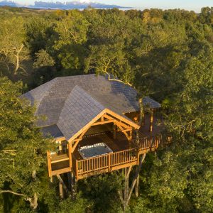 Cabane perchée dans les arbres, entourée de verdure, avec terrasse et jacuzzi.