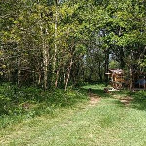 Cabane perchée en pleine forêt, entourée de verdure luxuriante à Basse-Normandie.