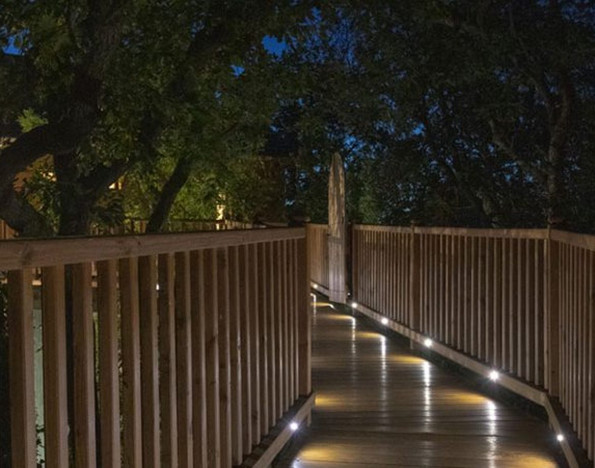Cabane perchée dans les arbres, chemin lumineux entouré de verdure.