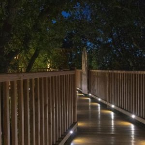 Cabane perchée dans les arbres, chemin lumineux entouré de verdure.