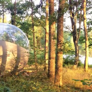 Bulle transparente en pleine forêt, offrant une vue imprenable sur le lac en Auvergne.