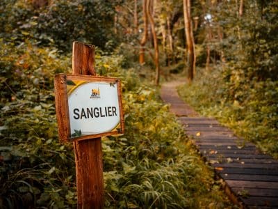 Hébergement insolite en forêt : un chemin en bois menant à un espace nature apaisant.