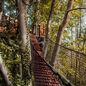 Cabane dans les arbres en Île-de-France, accessible par un pont suspendu verdoyant.