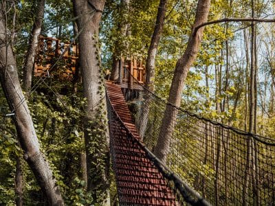 Cabane dans les arbres en Île-de-France, accessible par un pont suspendu verdoyant.