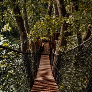 Cabane dans les arbres en Île-de-France, accessible par un pont suspendu en bois.