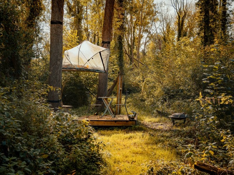 Cabane perchée en pleine forêt, entourée darbres et de verdure luxuriante.