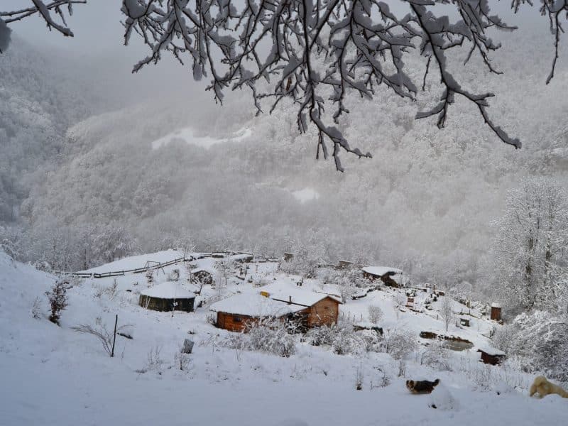 Chalet en bois entouré de neige, offrant une vue imprenable sur la vallée hivernale.