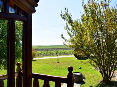 Cabane perchée en Nouvelle-Aquitaine, vue sur les vignes verdoyantes.
