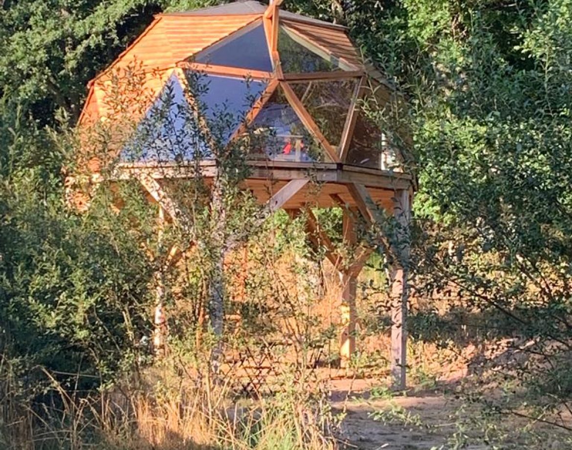Cabane en bois perchée, avec de grandes fenêtres, nichée dans la verdure dAuvergne.